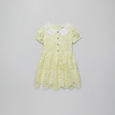 Yellow Floral Lace Dress فستان